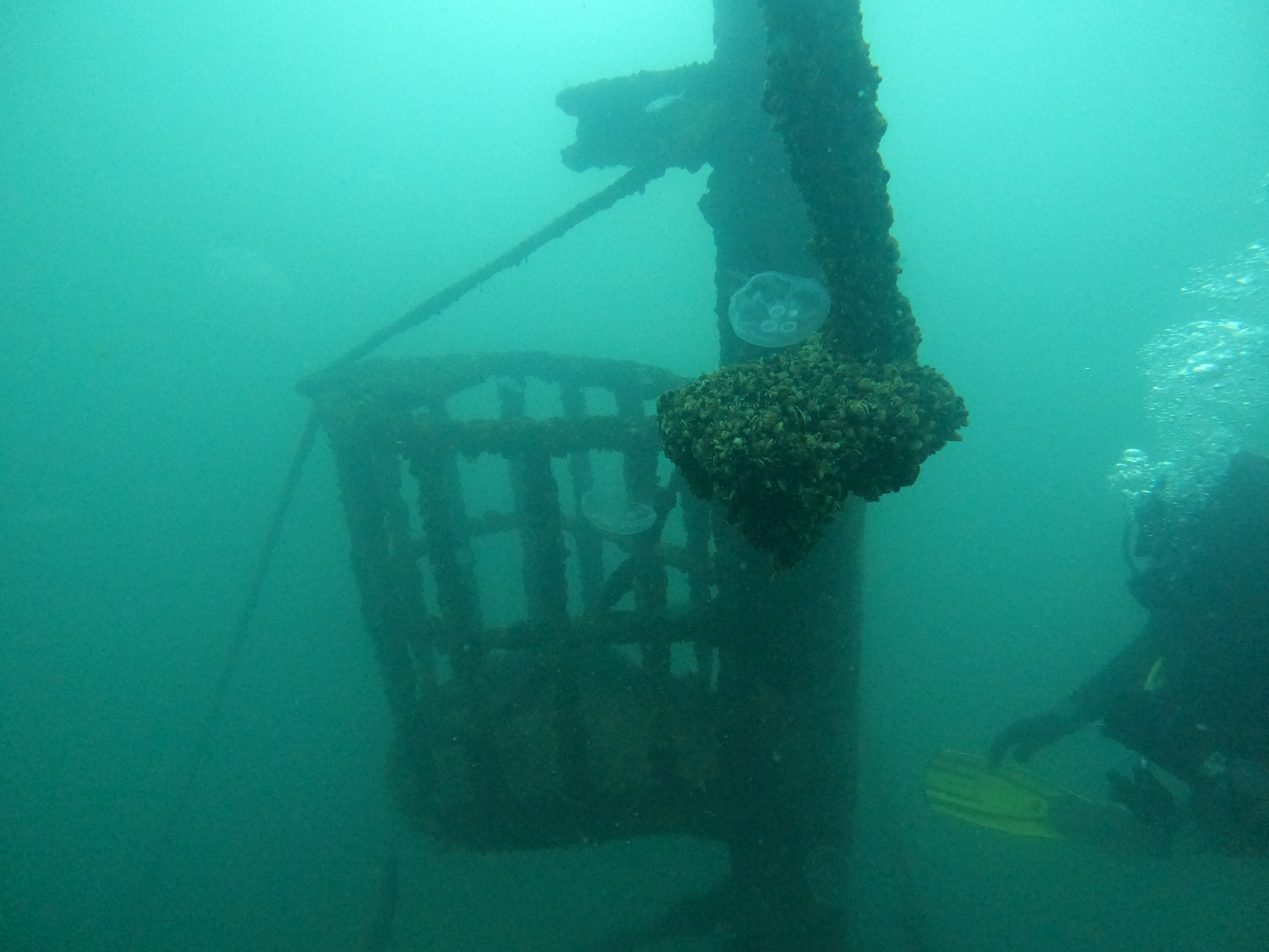 Wreck  Ship "Chavdar"