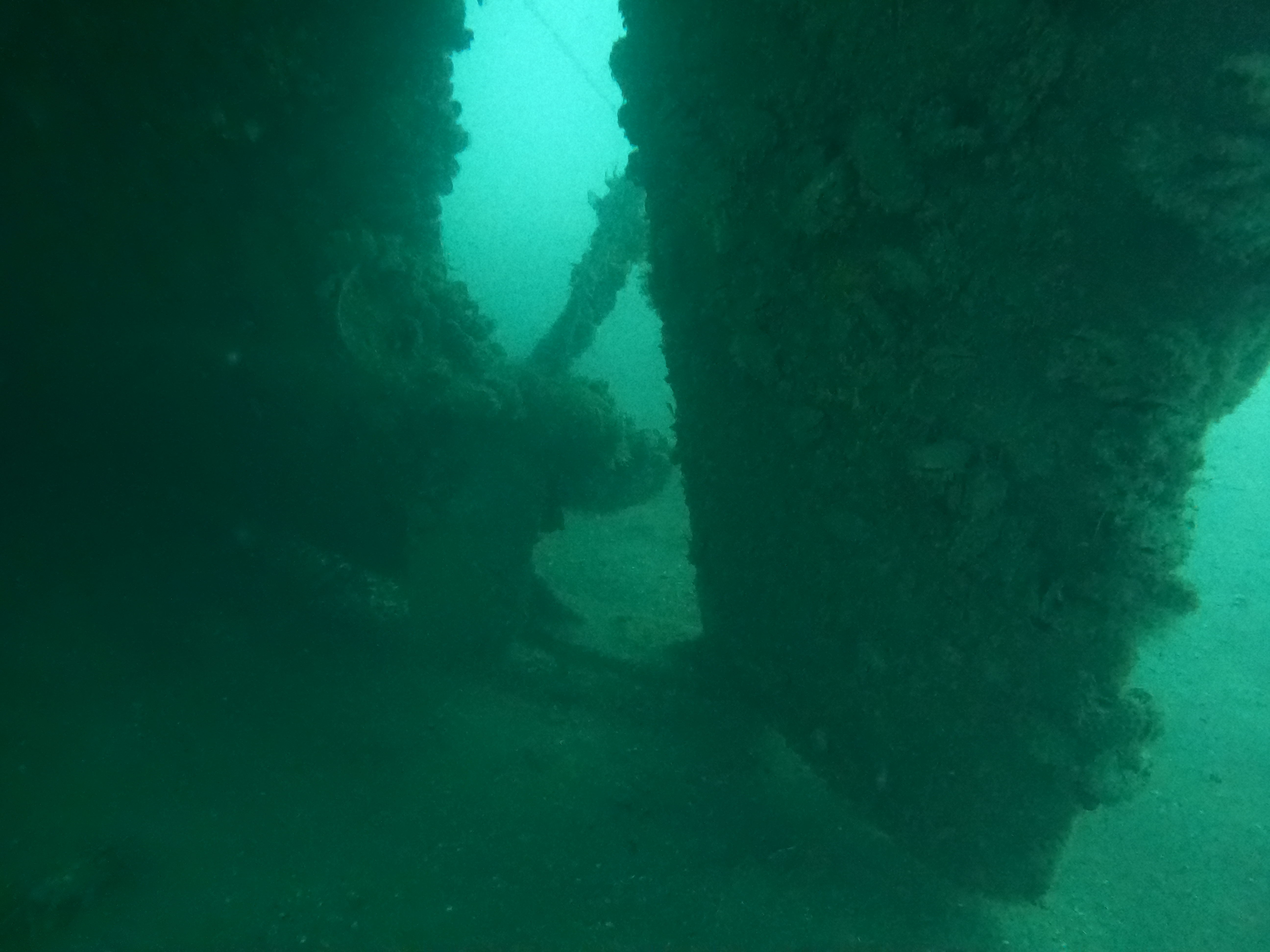 Wreck  Ship "Chavdar"