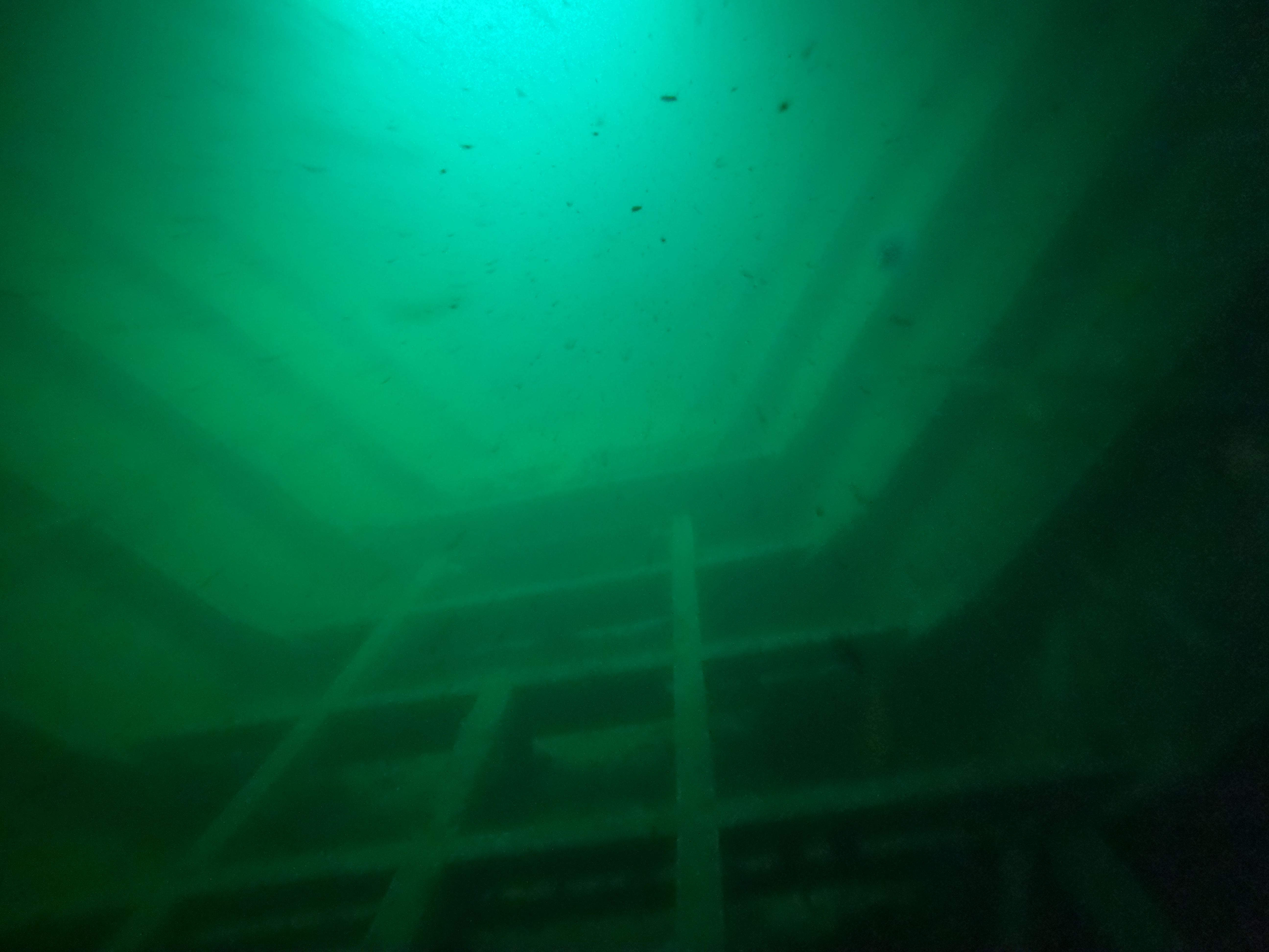 Wreck  Ship "Chavdar"