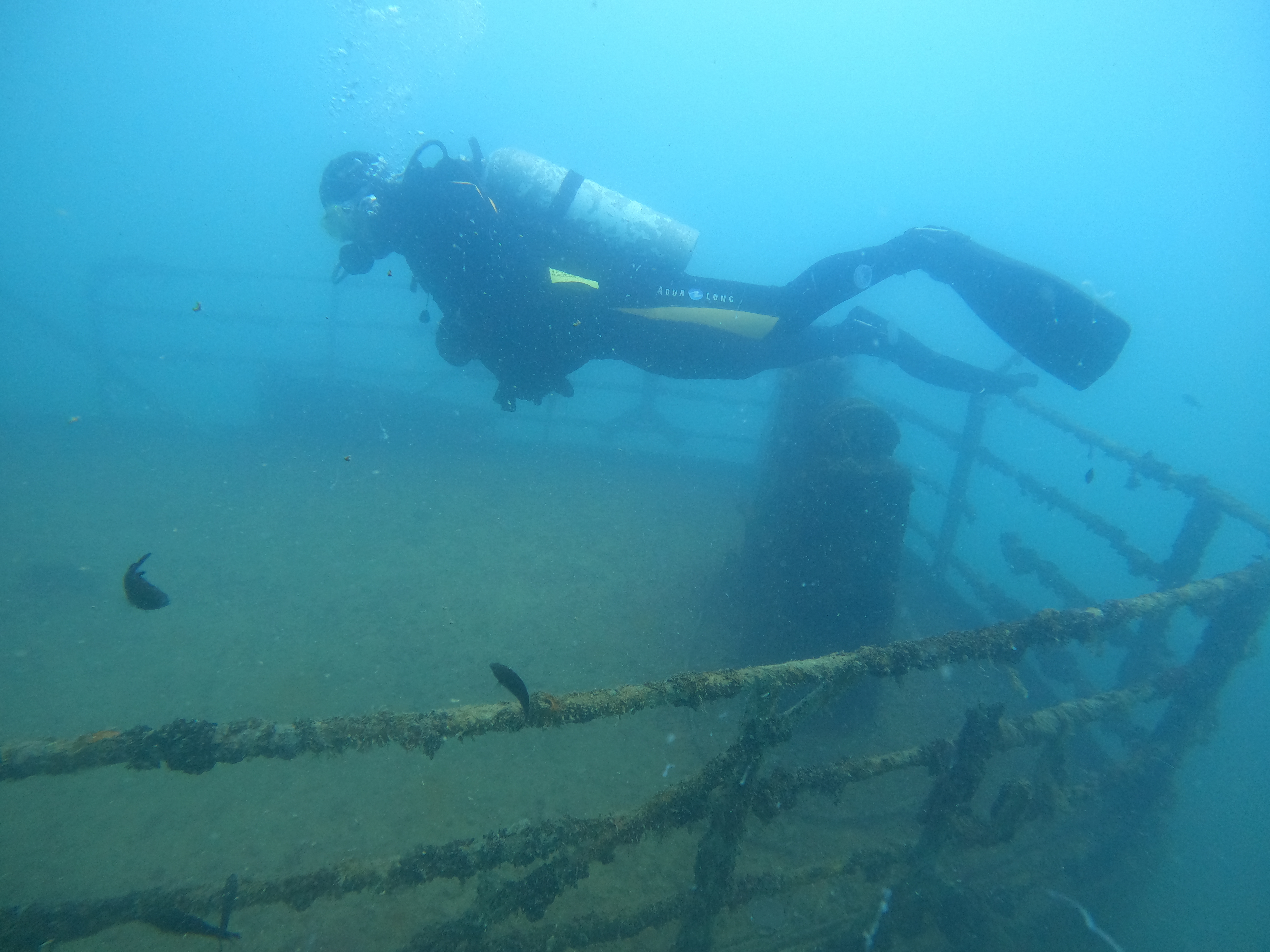 Wreck  Ship "Pioner"
