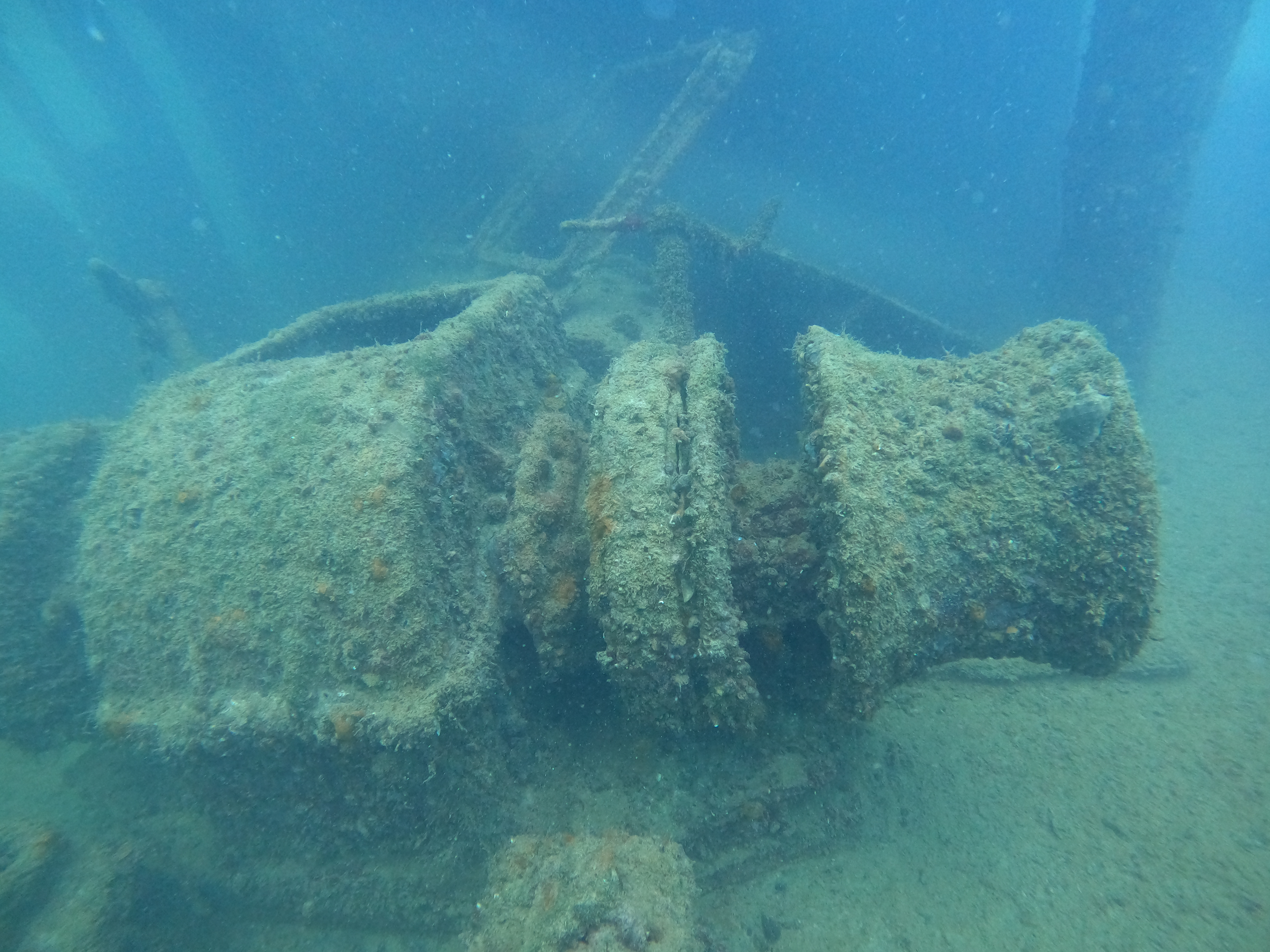 Wreck  Ship "Pioner"